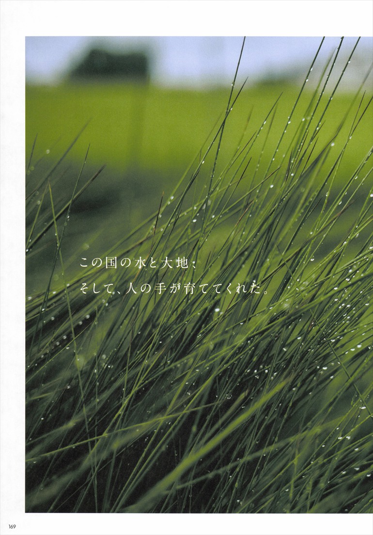 ページ169